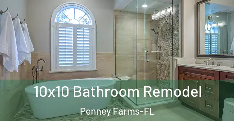 inner Bathroom imggen 10x10 Bathroom Remodel Penney Farms-FL