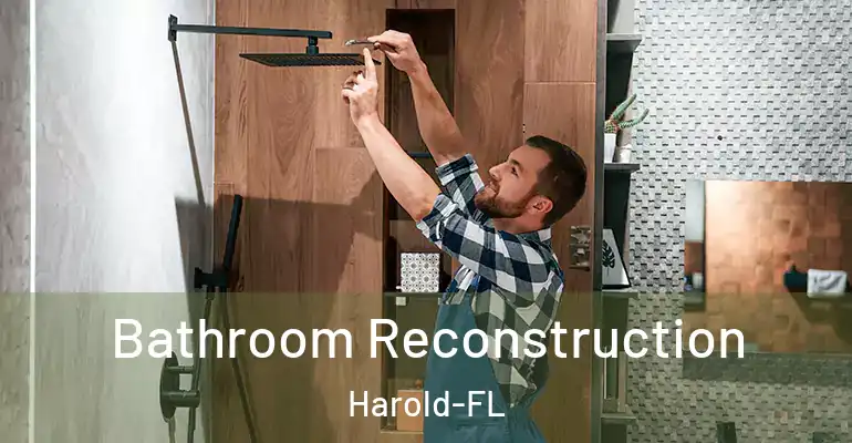 inner Bathroom imggen Bathroom Reconstruction Harold-FL