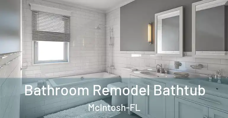 inner Bathroom imggen Bathroom Remodel Bathtub McIntosh-FL