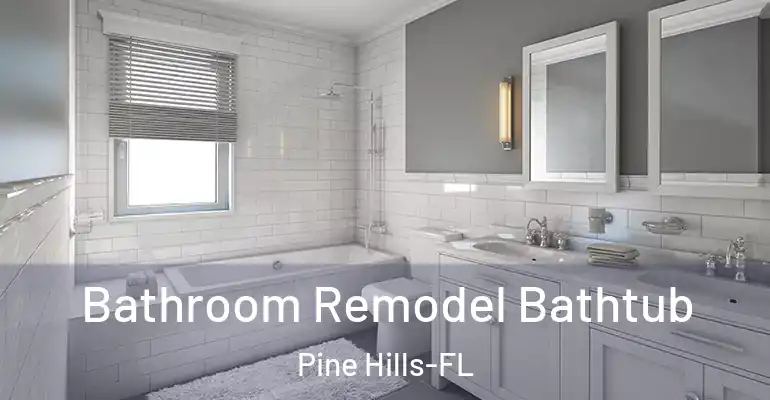 inner Bathroom imggen Bathroom Remodel Bathtub Pine Hills-FL