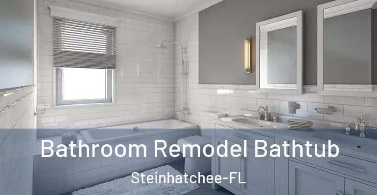 inner Bathroom imggen Bathroom Remodel Bathtub Steinhatchee-FL