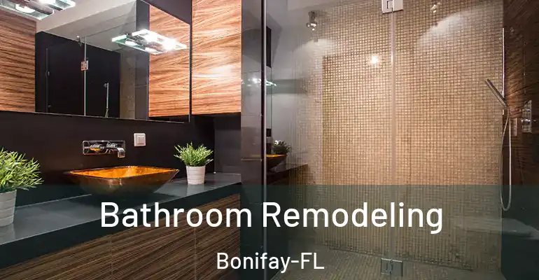 inner Bathroom imggen Bathroom Remodeling Bonifay-FL
