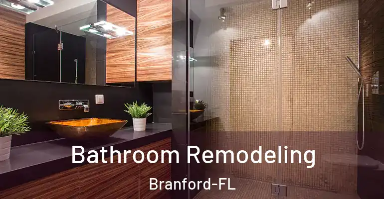 inner Bathroom imggen Bathroom Remodeling Branford-FL