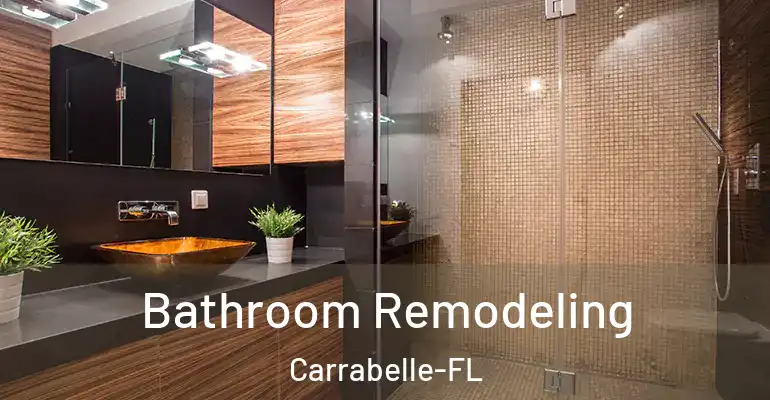 inner Bathroom imggen Bathroom Remodeling Carrabelle-FL