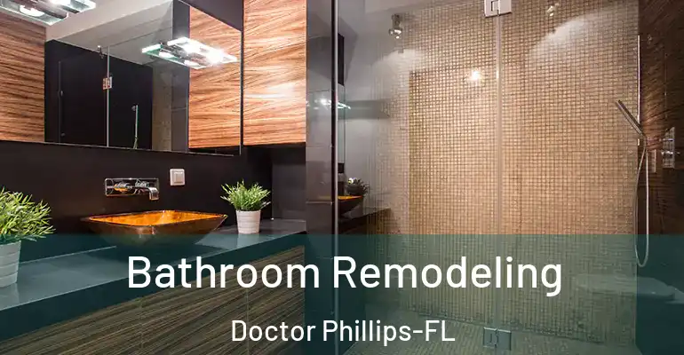 inner Bathroom imggen Bathroom Remodeling Doctor Phillips-FL