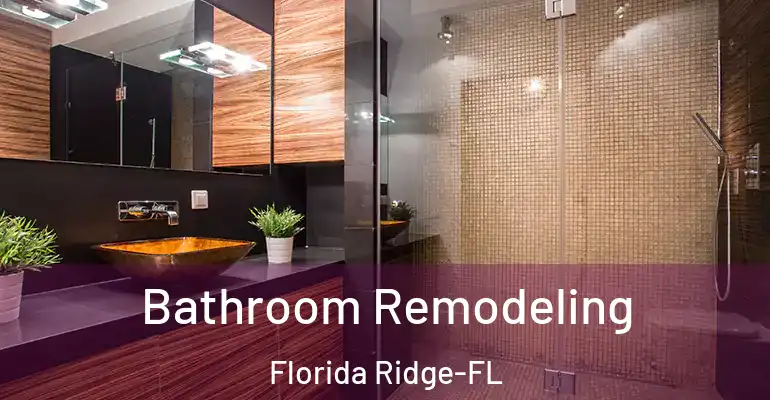inner Bathroom imggen Bathroom Remodeling Florida Ridge-FL
