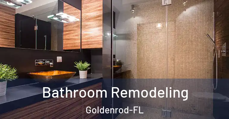 inner Bathroom imggen Bathroom Remodeling Goldenrod-FL