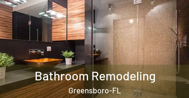 inner Bathroom imggen Bathroom Remodeling Greensboro-FL