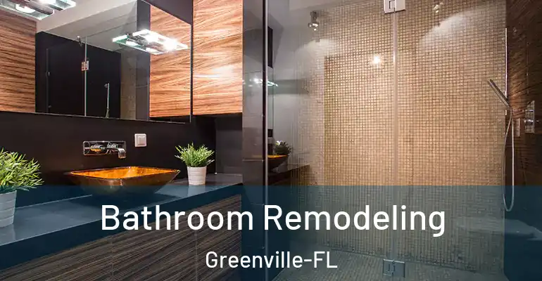 inner Bathroom imggen Bathroom Remodeling Greenville-FL