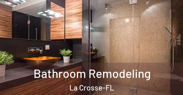 inner Bathroom imggen Bathroom Remodeling La Crosse-FL