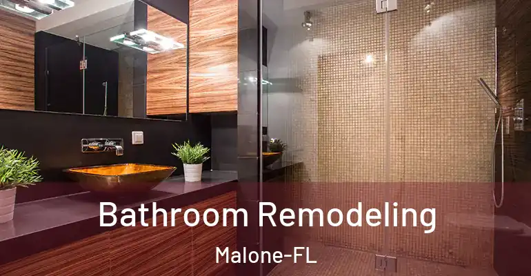 inner Bathroom imggen Bathroom Remodeling Malone-FL