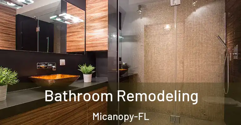 inner Bathroom imggen Bathroom Remodeling Micanopy-FL