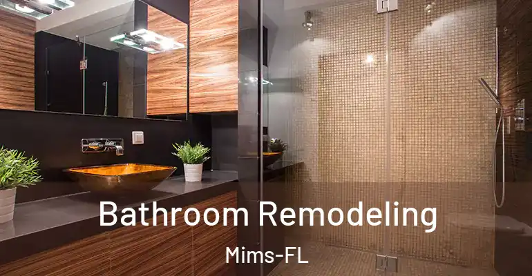 inner Bathroom imggen Bathroom Remodeling Mims-FL