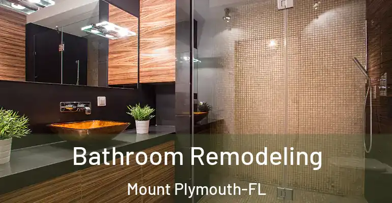 inner Bathroom imggen Bathroom Remodeling Mount Plymouth-FL
