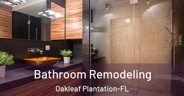 inner Bathroom imggen Bathroom Remodeling Oakleaf Plantation-FL