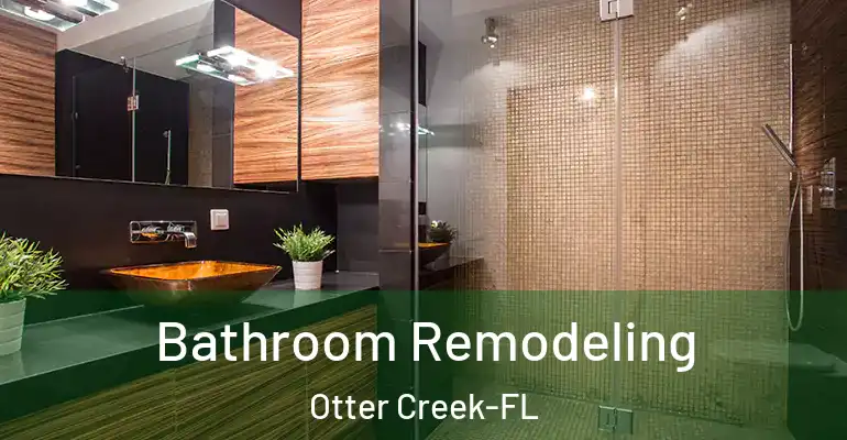 inner Bathroom imggen Bathroom Remodeling Otter Creek-FL