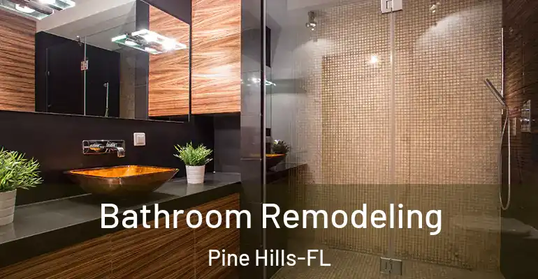 inner Bathroom imggen Bathroom Remodeling Pine Hills-FL