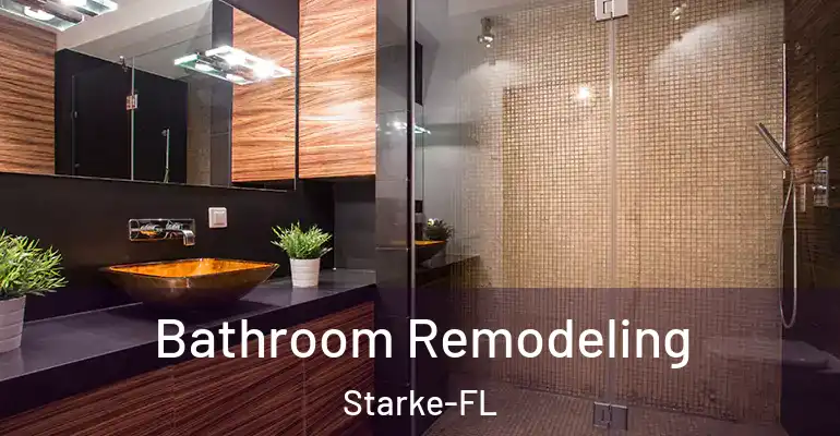 inner Bathroom imggen Bathroom Remodeling Starke-FL