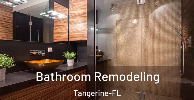 inner Bathroom imggen Bathroom Remodeling Tangerine-FL