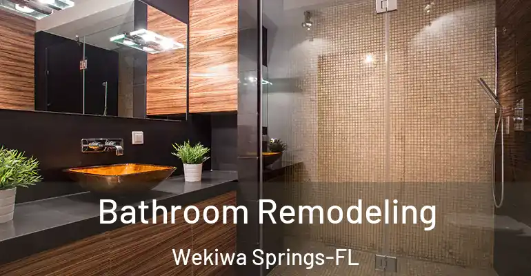 inner Bathroom imggen Bathroom Remodeling Wekiwa Springs-FL