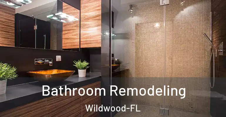 inner Bathroom imggen Bathroom Remodeling Wildwood-FL