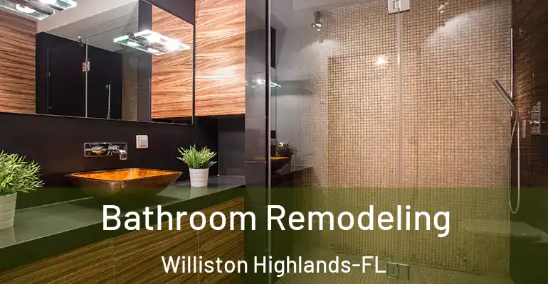 inner Bathroom imggen Bathroom Remodeling Williston Highlands-FL