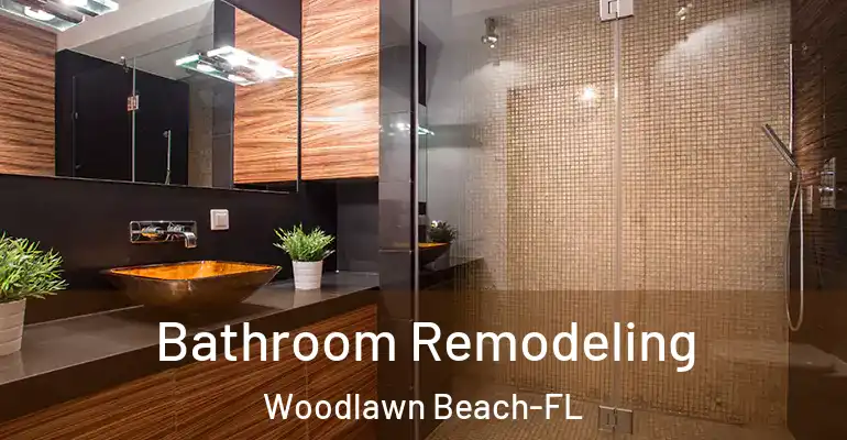 inner Bathroom imggen Bathroom Remodeling Woodlawn Beach-FL