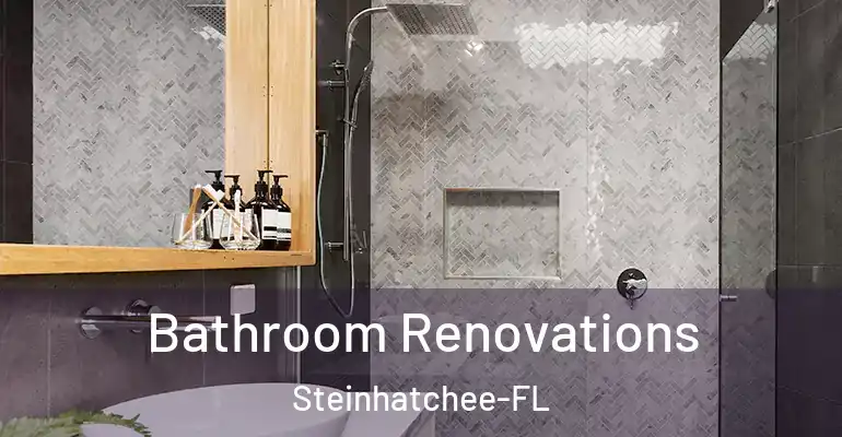 inner Bathroom imggen Bathroom Renovations Steinhatchee-FL