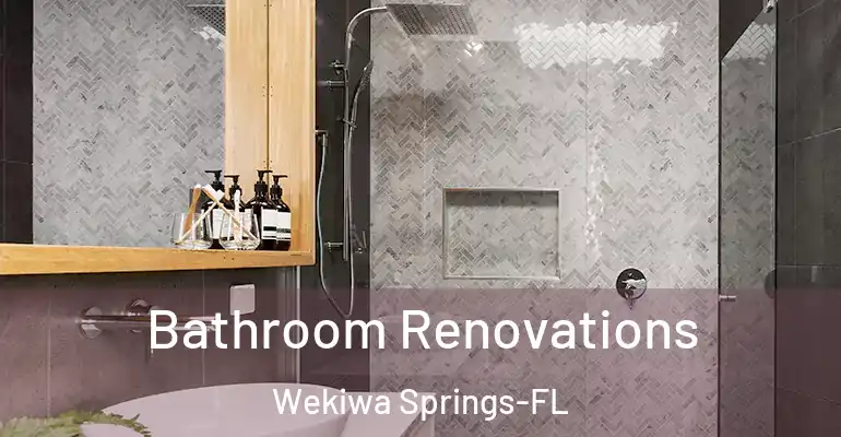 inner Bathroom imggen Bathroom Renovations Wekiwa Springs-FL