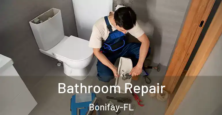 inner Bathroom imggen Bathroom Repair Bonifay-FL