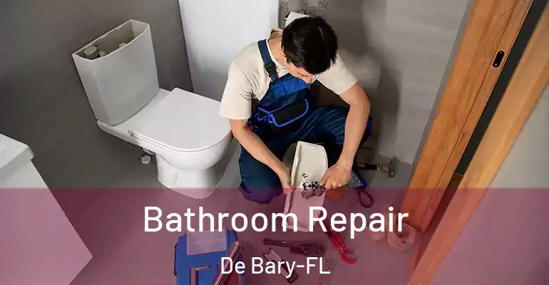 inner Bathroom imggen Bathroom Repair De Bary-FL