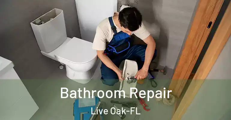 inner Bathroom imggen Bathroom Repair Live Oak-FL