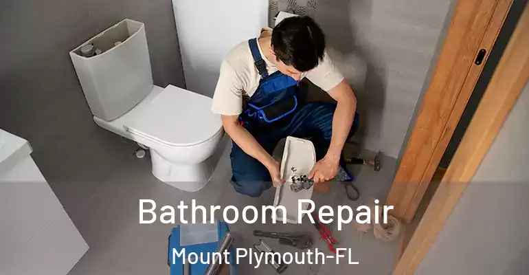 inner Bathroom imggen Bathroom Repair Mount Plymouth-FL