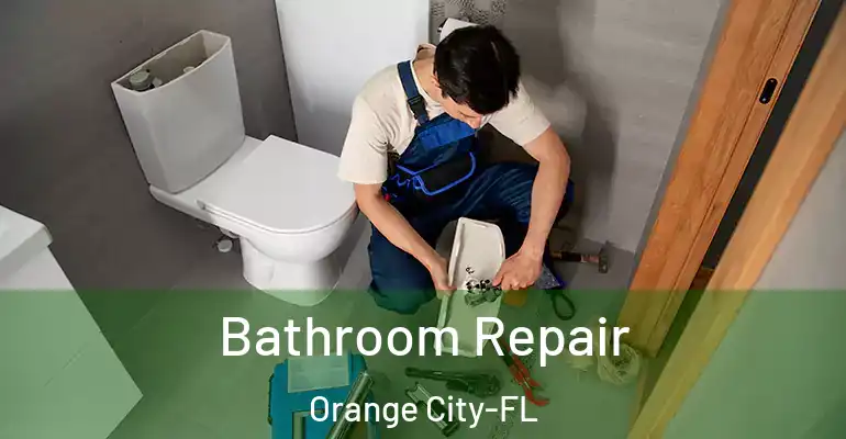 inner Bathroom imggen Bathroom Repair Orange City-FL