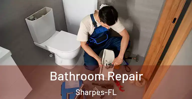 inner Bathroom imggen Bathroom Repair Sharpes-FL