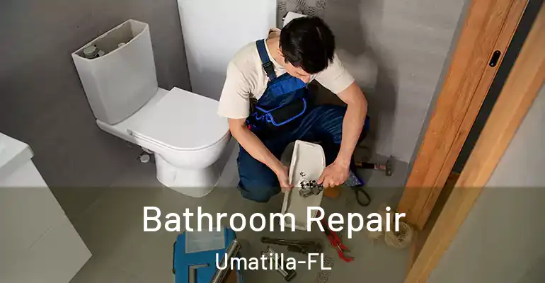 inner Bathroom imggen Bathroom Repair Umatilla-FL