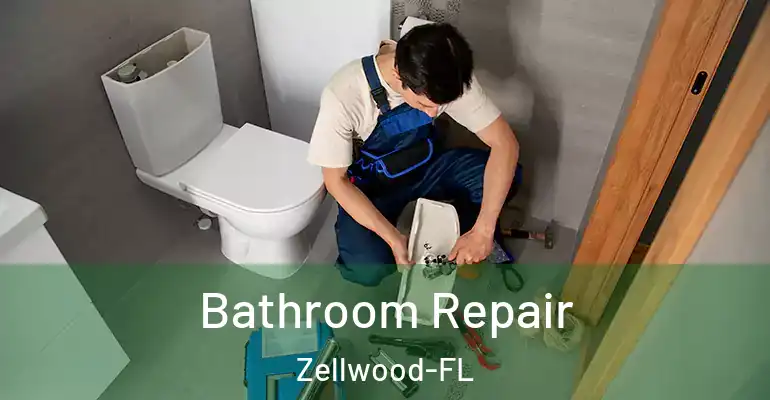 inner Bathroom imggen Bathroom Repair Zellwood-FL