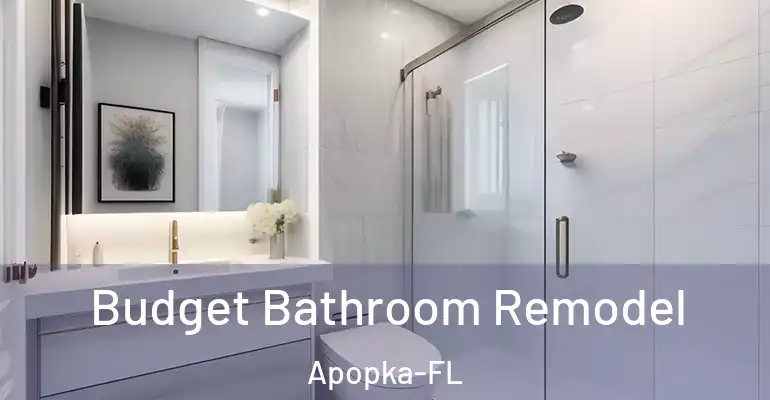 inner Bathroom imggen Budget Bathroom Remodel Apopka-FL