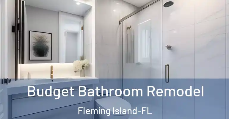 inner Bathroom imggen Budget Bathroom Remodel Fleming Island-FL