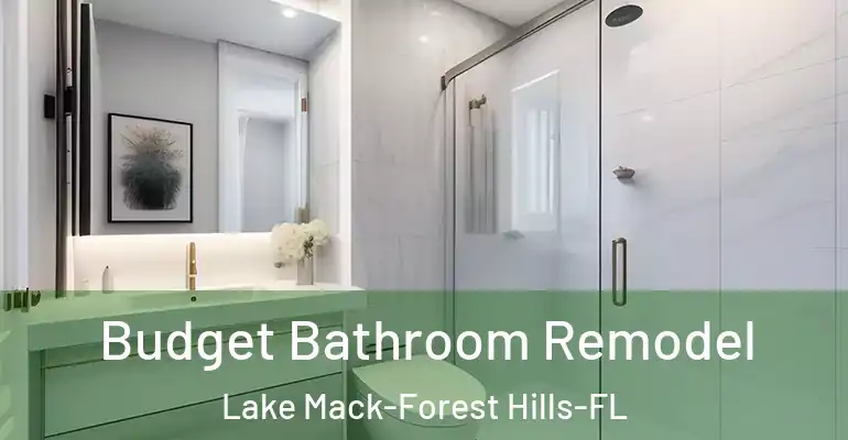 inner Bathroom imggen Budget Bathroom Remodel Lake Mack-Forest Hills-FL