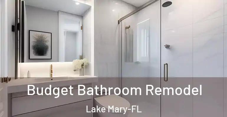 inner Bathroom imggen Budget Bathroom Remodel Lake Mary-FL