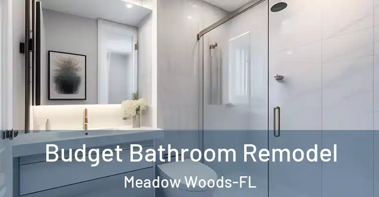 inner Bathroom imggen Budget Bathroom Remodel Meadow Woods-FL