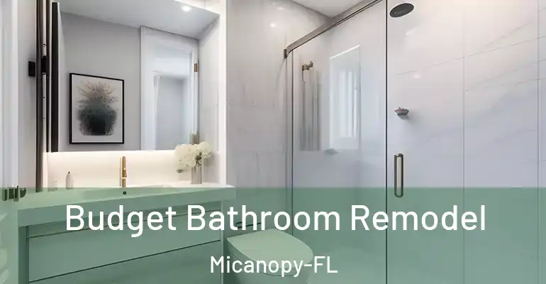 inner Bathroom imggen Budget Bathroom Remodel Micanopy-FL