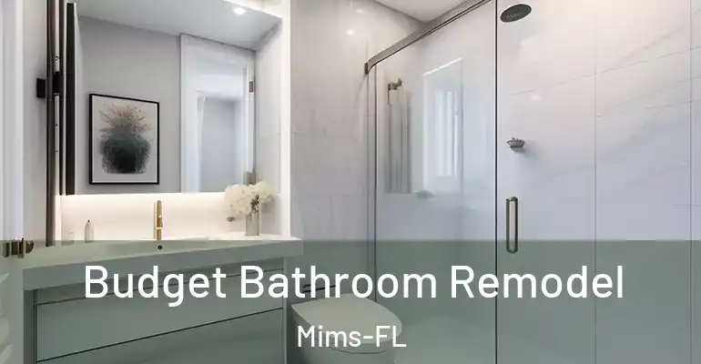 inner Bathroom imggen Budget Bathroom Remodel Mims-FL