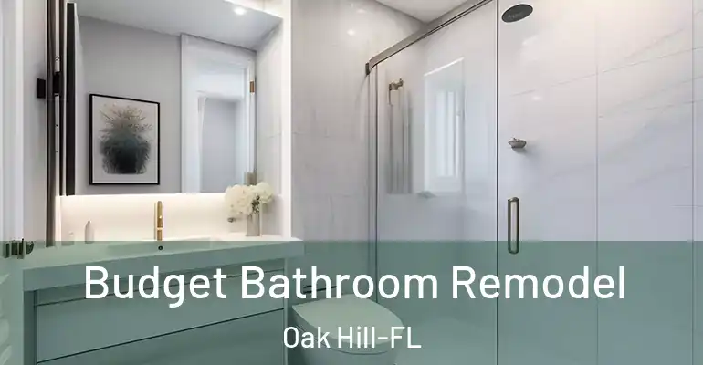inner Bathroom imggen Budget Bathroom Remodel Oak Hill-FL