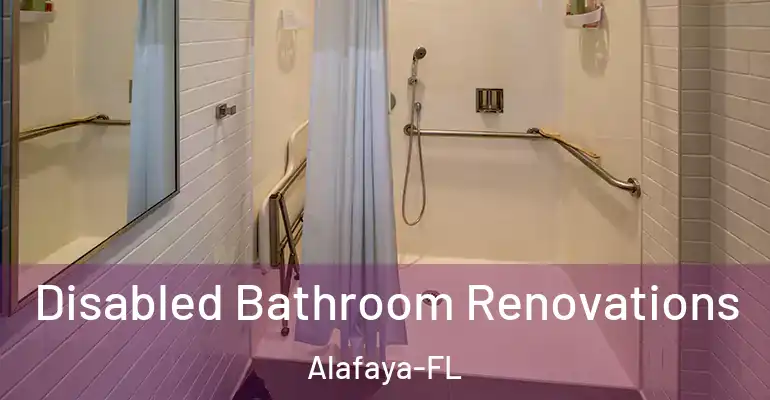 inner Bathroom imggen Disabled Bathroom Renovations Alafaya-FL
