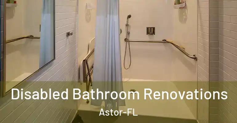 inner Bathroom imggen Disabled Bathroom Renovations Astor-FL