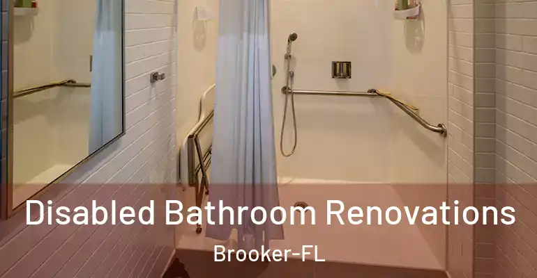 inner Bathroom imggen Disabled Bathroom Renovations Brooker-FL