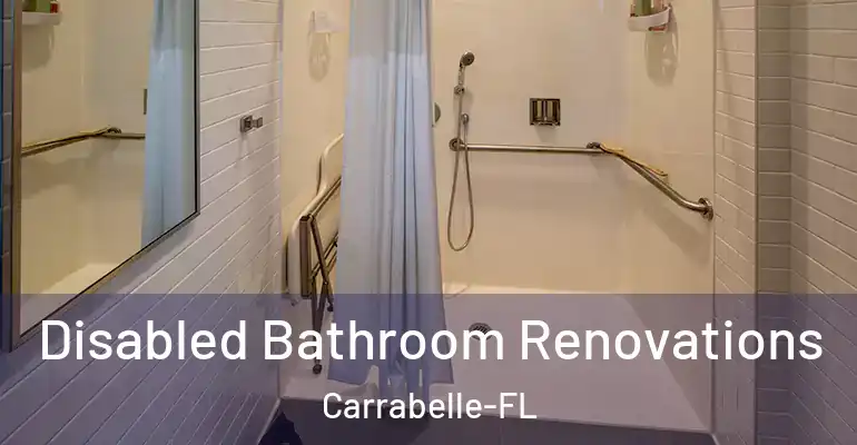 inner Bathroom imggen Disabled Bathroom Renovations Carrabelle-FL