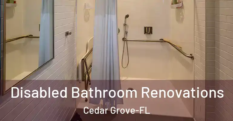 inner Bathroom imggen Disabled Bathroom Renovations Cedar Grove-FL